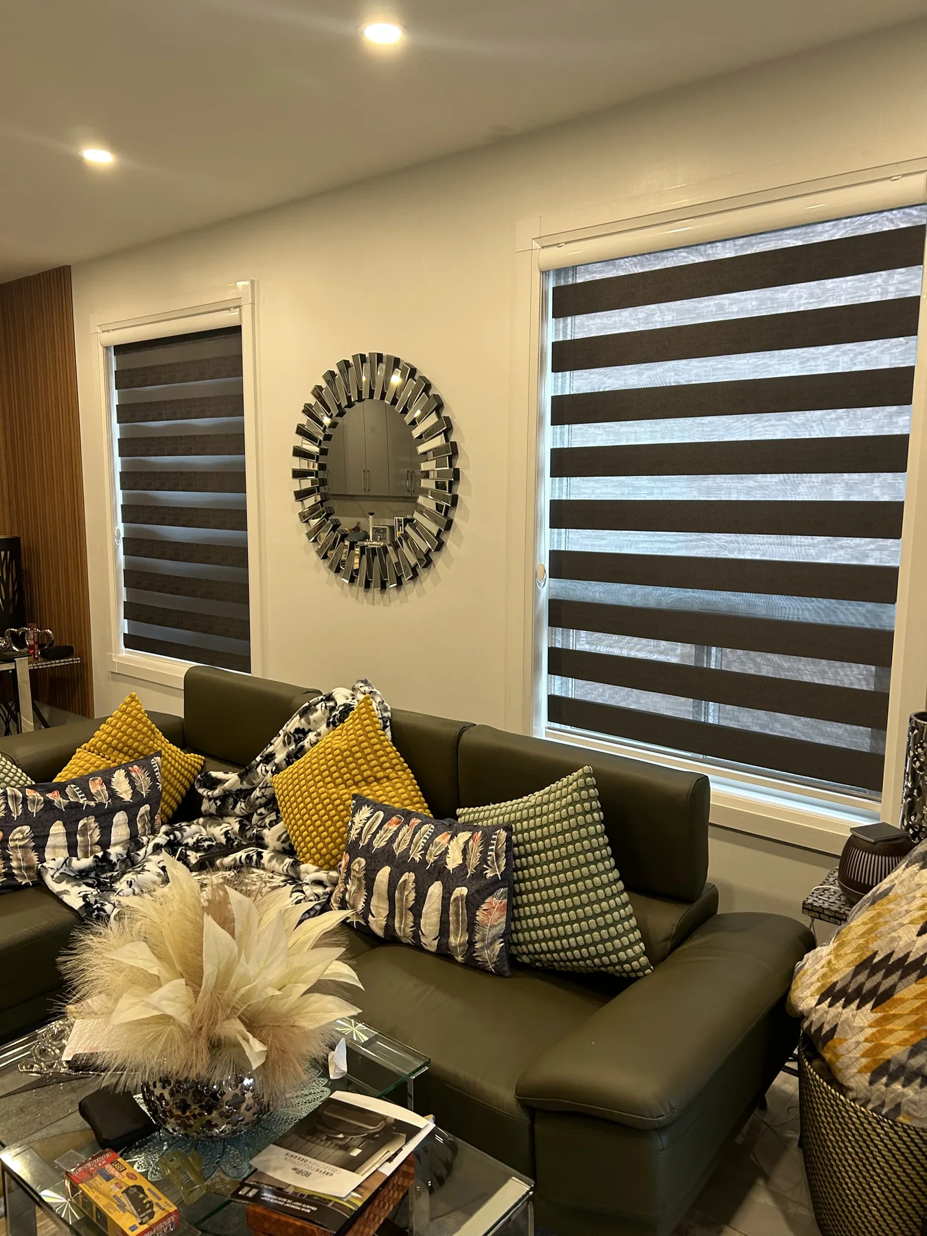Blackout Zebra Blinds